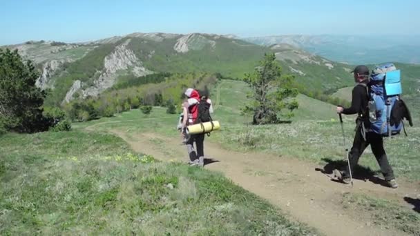 Wandelaars groep wandeltochten in Krim — Stockvideo