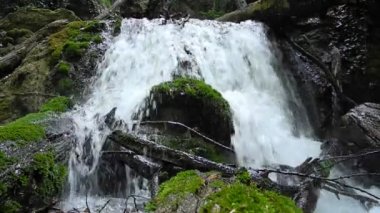 dağ dere Kırım, Ukrayna