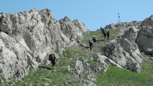 Grupa turystów, trekking na Krymie — Wideo stockowe