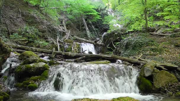 Gebirgsbach auf der Krim, Ukraine — Stockvideo