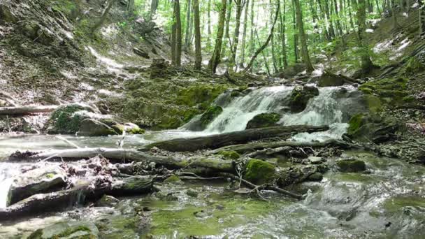 Гірський струмок в АР Крим, Україна — стокове відео