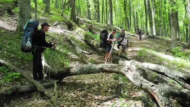 Grupa turystów, trekking na Krymie — Wideo stockowe