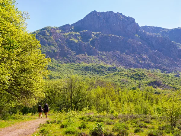 Wandelaars groep wandeltochten in Krim — Stockfoto