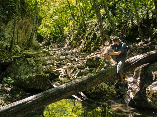 Wandelaar in de canyon van berg rivier — Stockfoto