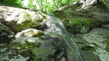 Creek küçük şelale Kırım