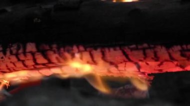 Şenlik Ateşi Yaklaş