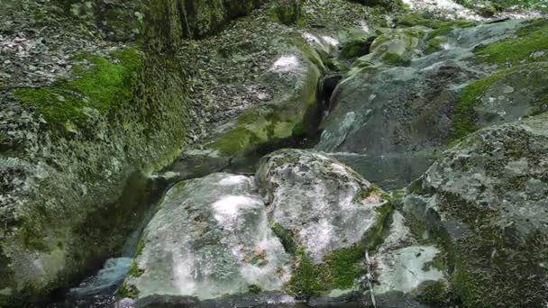 Arroyo con cascada pequeña en Crimea — Vídeos de Stock