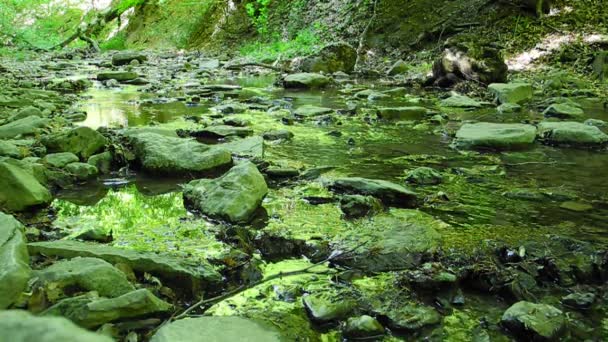 Creek met kleine waterval op de Krim — Stockvideo