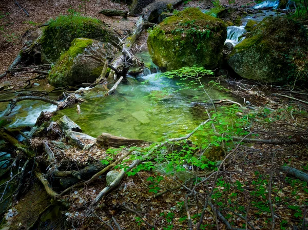 Arroyo de montaña —  Fotos de Stock