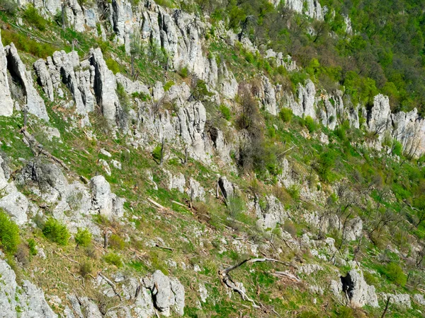 Summer mountain landscape in Crimea — Stock Photo, Image