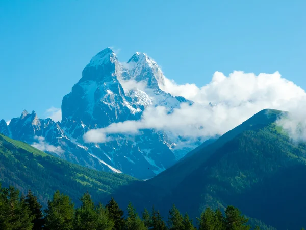 Picos de Ushba em Svaneti — Fotografia de Stock