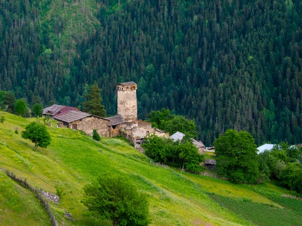 Krajina ieli vesnice v svaneti — Stock fotografie