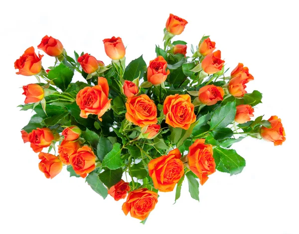 Bouquet of roses isolated on white background. — Stock Photo, Image