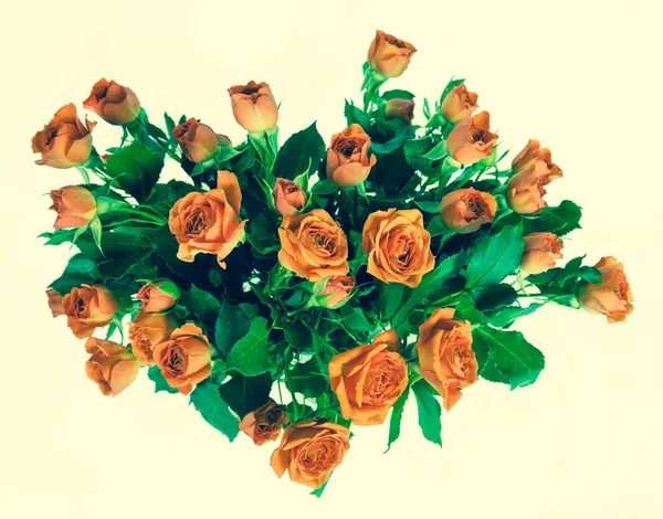 Bouquet di rose isolato su sfondo bianco. — Foto Stock