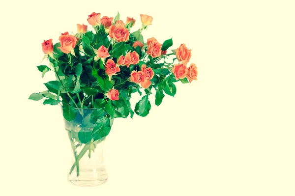 Bouquet of roses isolated on white background. — Stock Photo, Image