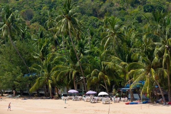 Tall palm trees on the beach in Koh Samui — Stock Photo, Image
