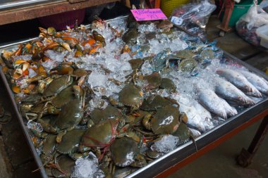 taze yengeç ve balıklar