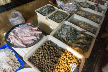 taze crawfishes ve karides