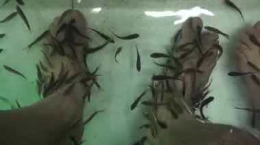 Balık Tayland Masaj