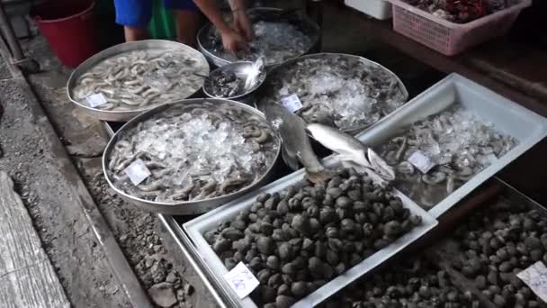 Poissons crus frais et crevettes sur le marché en Thaïlande — Video