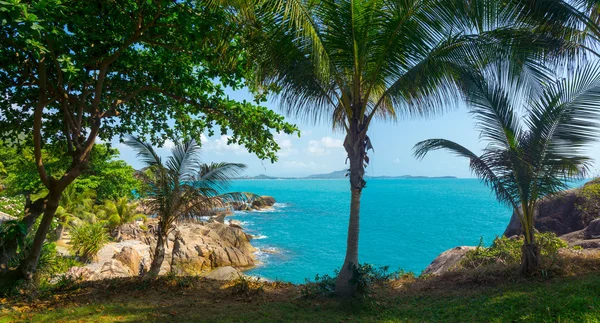 Costa rochosa na ilha de Samui — Fotografia de Stock