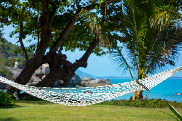 Hammock between palm trees — Stock Photo, Image