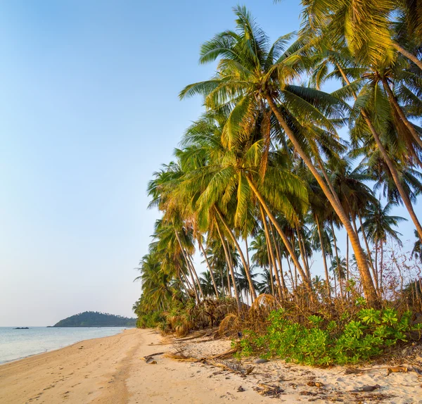 Praia tropical intocada — Fotografia de Stock