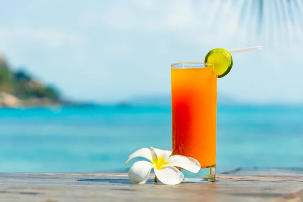 Tropický koktejl — Stock fotografie