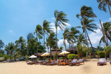 Resort panorama