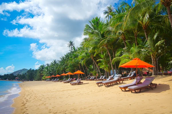 Resort panorama — Stock Photo, Image