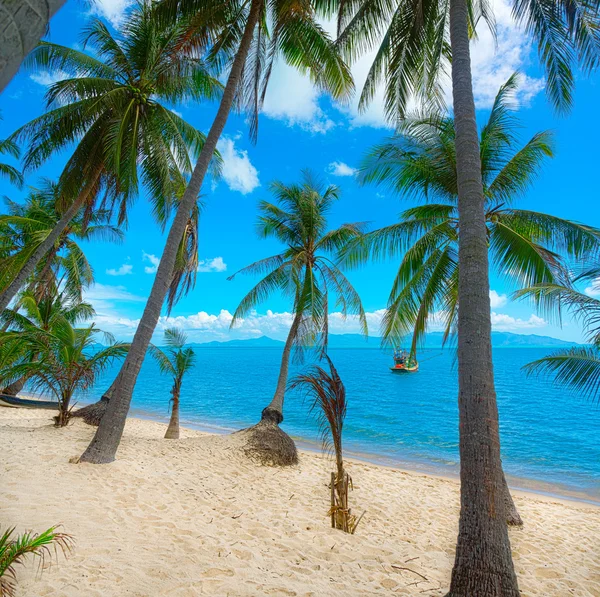 Praia tropical intocada — Fotografia de Stock