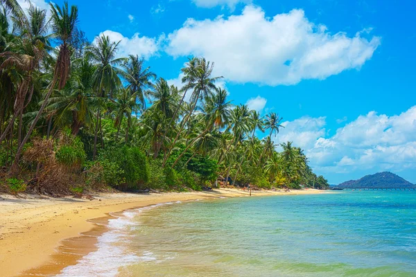 Dziewiczej tropikalnej plaży — Zdjęcie stockowe