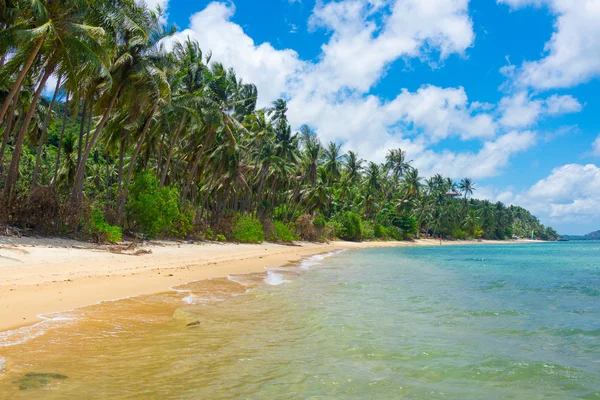 手付かずの熱帯のビーチ — ストック写真