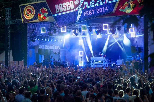 Festival de Bosco Fresh — Foto de Stock