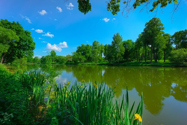 Lake landscape — Stock Photo, Image