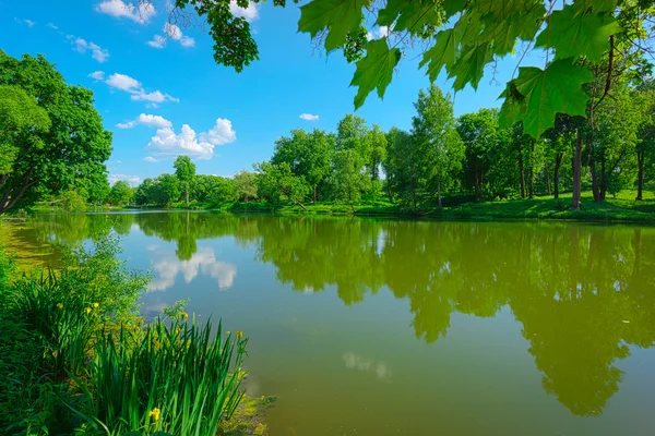 Sjön landskap — Stockfoto