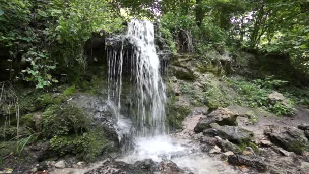 Cachoeira na madeira — Vídeo de Stock