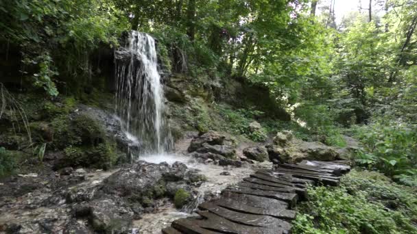 Cachoeira na madeira — Vídeo de Stock