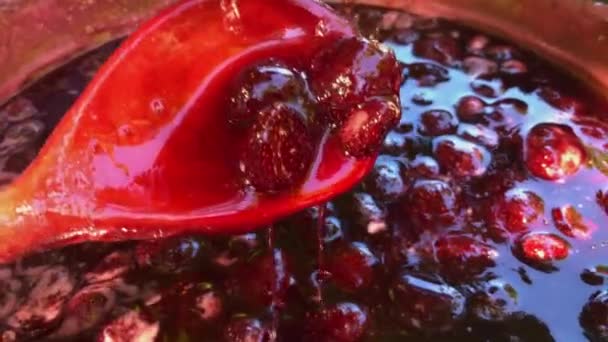 Laga mat blanda jordgubbe bevara med sked — Stockvideo