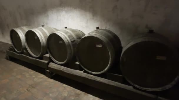 Ряд бочек с вином в подвале — стоковое видео