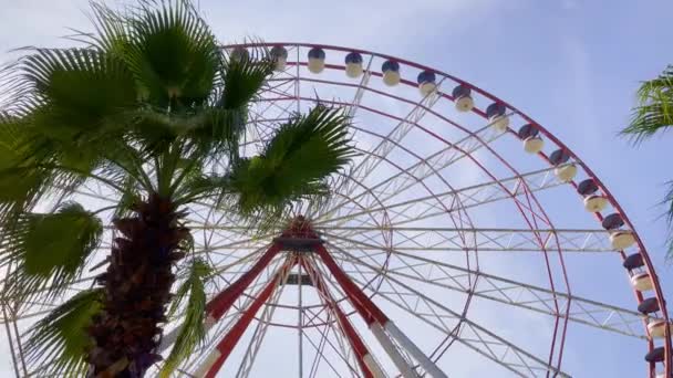 Roda gigante no parque tropical — Vídeo de Stock