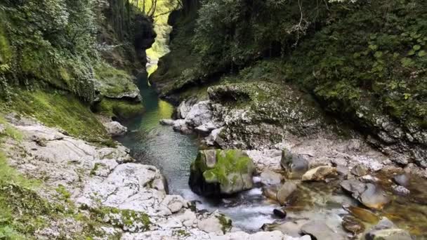 Río limpio en pintoresco cañón — Vídeos de Stock