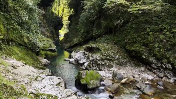 Río limpio en pintoresco cañón — Vídeo de stock