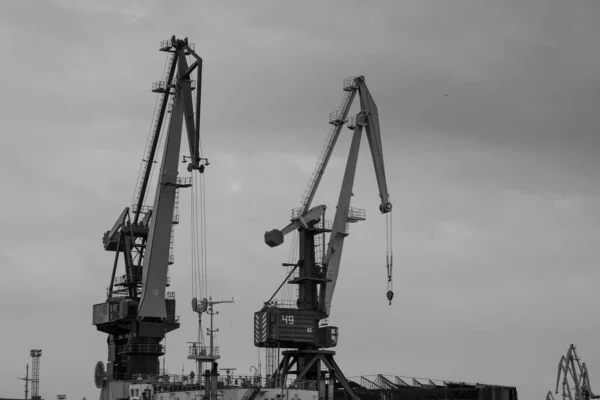 공업 도시 항구에 있는 두루미 — 스톡 사진