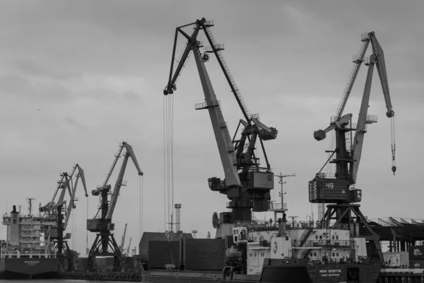 공업 도시 항구에 있는 두루미 — 스톡 사진