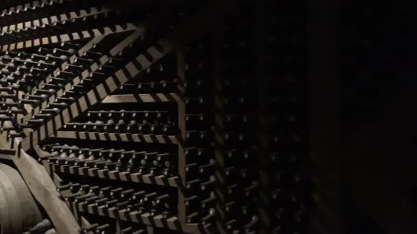 Flaschen und Weinfässer im Keller — Stockvideo