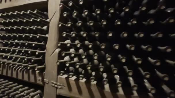 Bouteilles de vin sur étagères en bois — Video