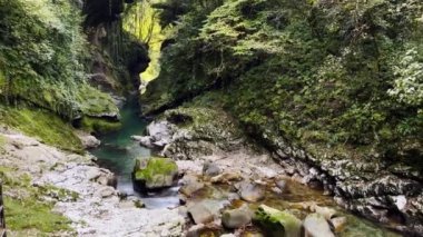 Resimli kanyonda temiz bir nehir.