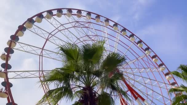 Roda gigante no parque tropical — Vídeo de Stock