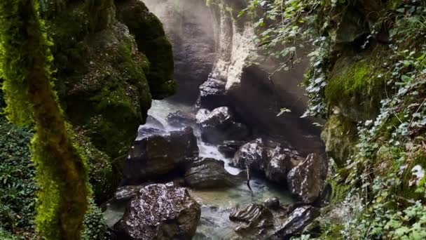 Río de montaña en barranco soleado — Vídeos de Stock